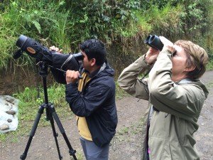 Alex Luna, our birder guide in Mindo, and Darlene on yesterday's walk.